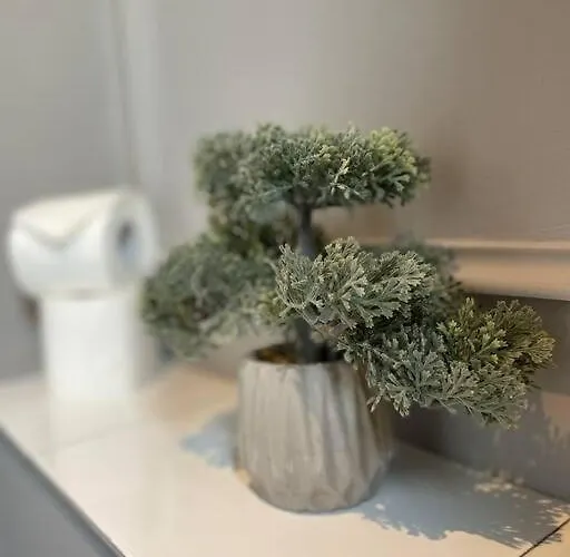 Apartament The General's